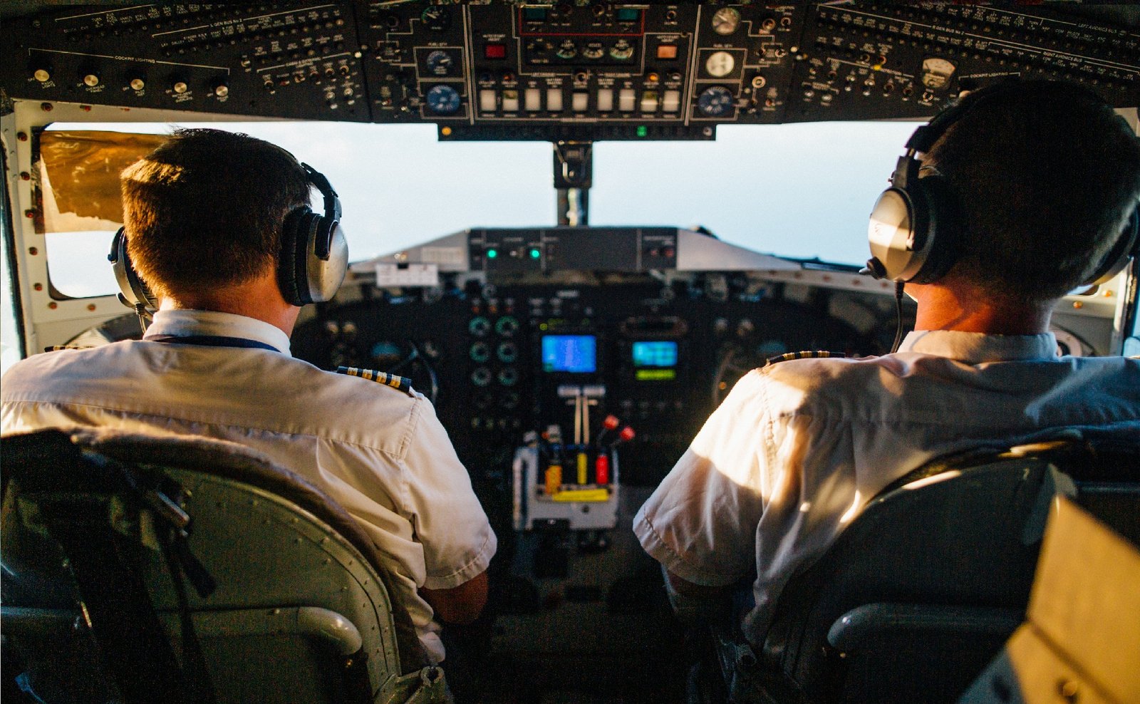 The Unlikely Connection: Pilots and Terrier Breeds